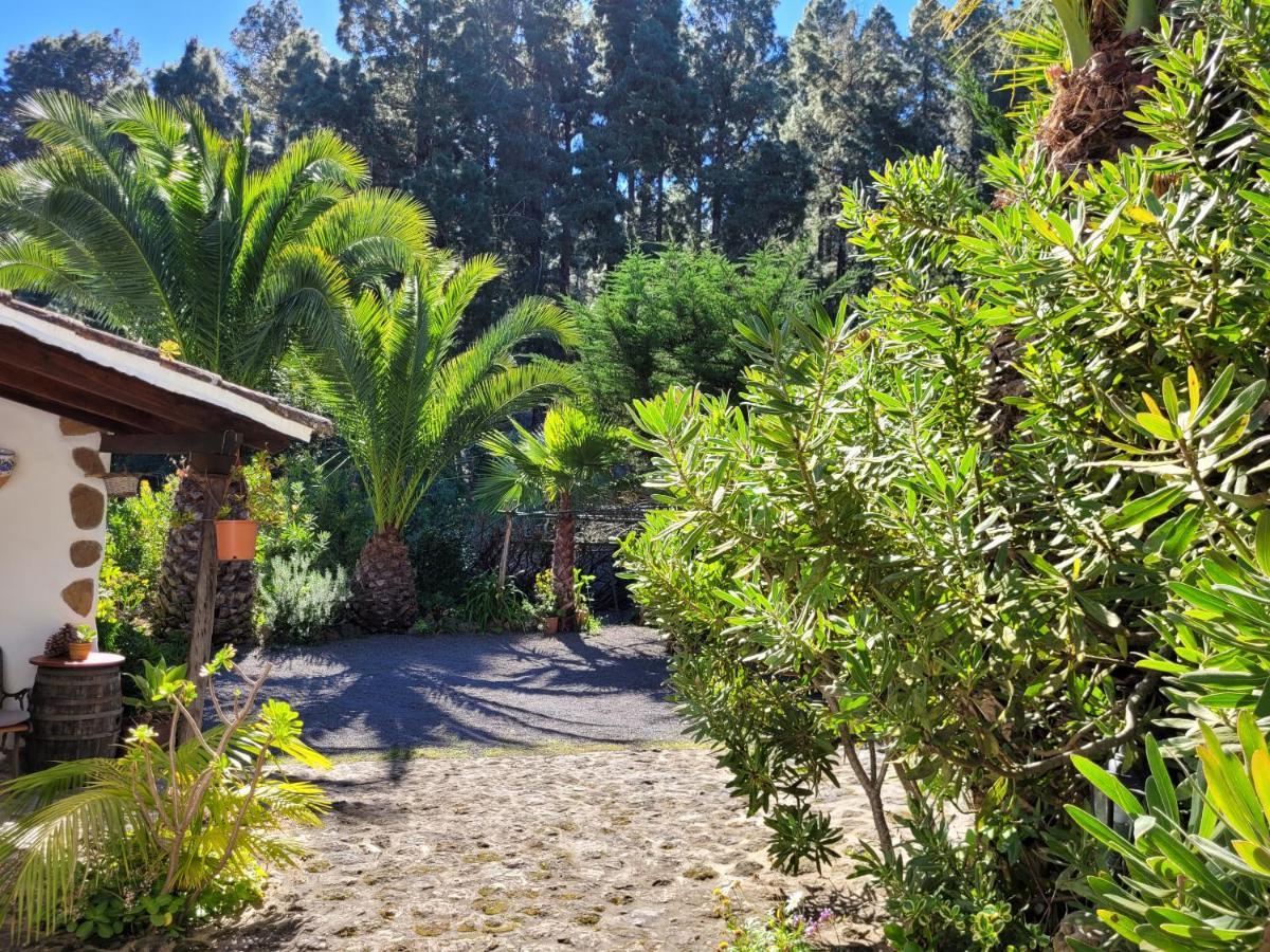 Finca Llano De La Cebolla Icod De Los Vinos Exterior photo