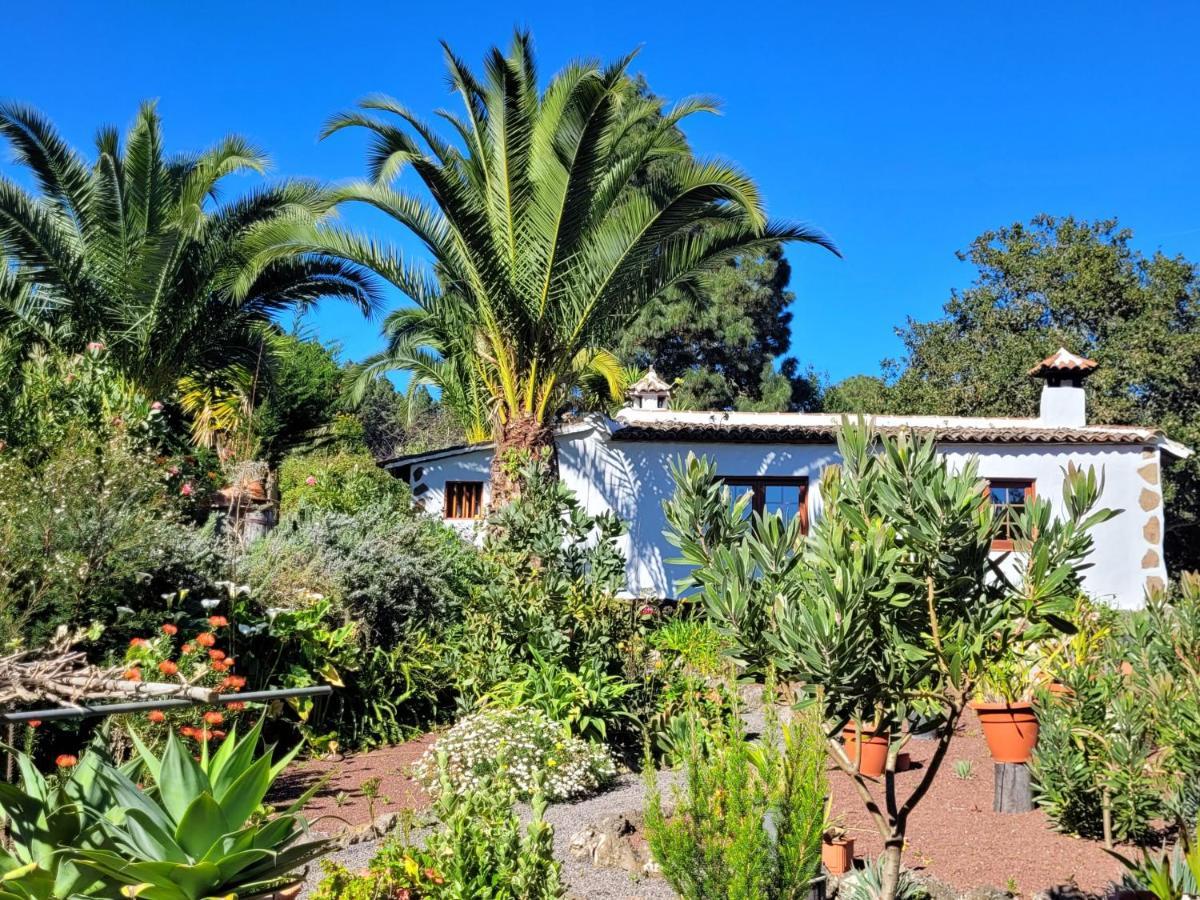 Finca Llano De La Cebolla Icod De Los Vinos Exterior photo