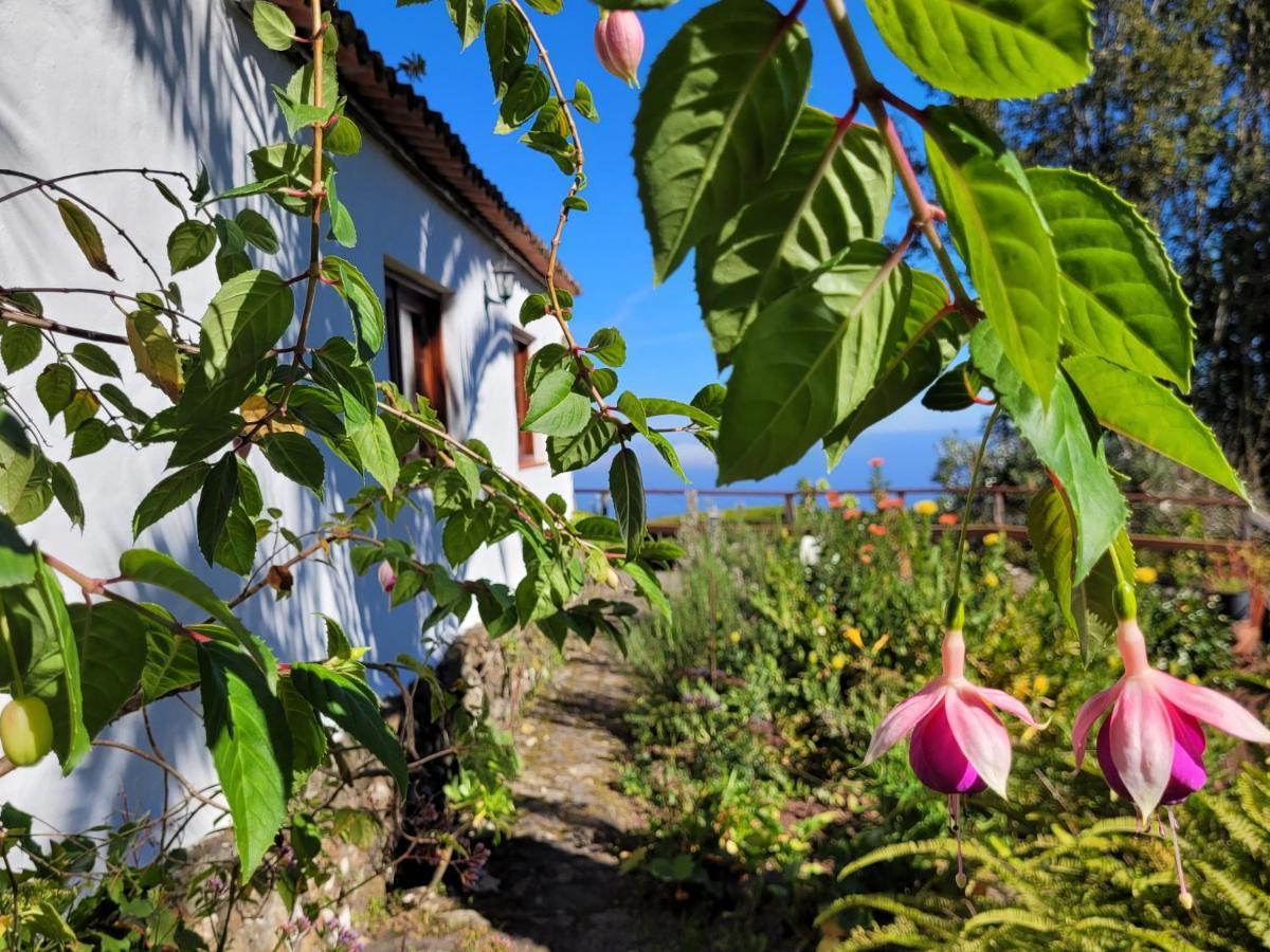 Finca Llano De La Cebolla Icod De Los Vinos Exterior photo