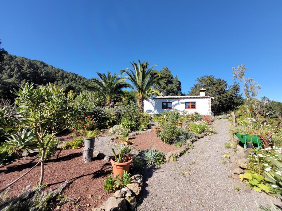 Finca Llano De La Cebolla Icod De Los Vinos Exterior photo