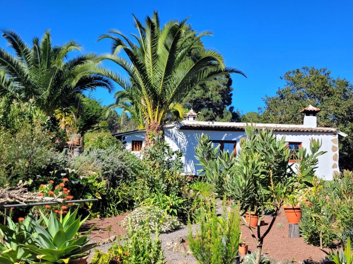 Finca Llano De La Cebolla Icod De Los Vinos Exterior photo
